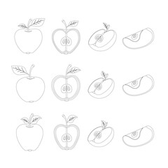 Set of apples. Cross section of cut apple, slices and whole fruit, hand drawn vector illustration.