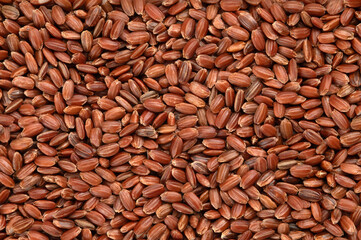 日本古代米の赤米