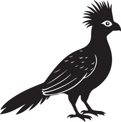 white cheeked turaco bird silhouette