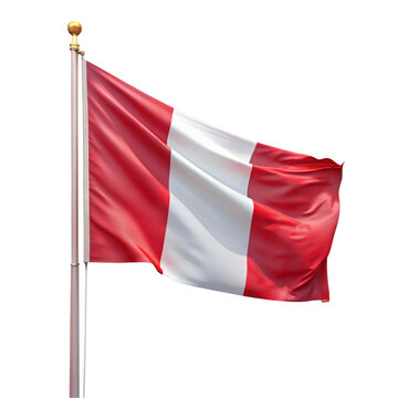 3d flag of france