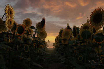Field of upright sunflowers with a path through them. 3D Rendering
