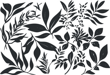 Black silhouette collection of various leaves and branches isolated on white background for nature design