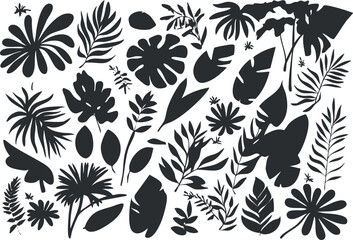 Black and white tropical leaf silhouettes vector set with various botanical shapes for design and decoration