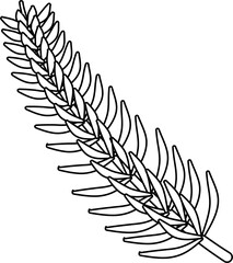 Spruce leaf outline vector