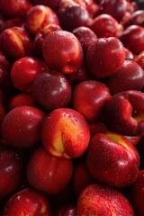 A close-up macro view of fresh ripe nectarines with smooth shiny skin in deep red and golden orange tones, tightly packed to fill the frame