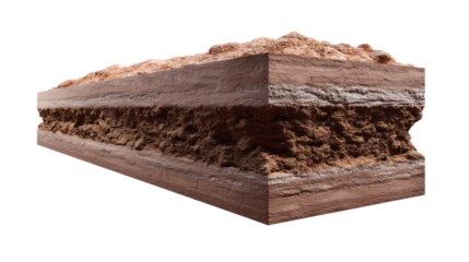 Layers of Earth: Detailed cross-section of soil layers showcases the diverse composition and geological history of the earth, revealing the intricate structure of the ground.