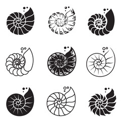 collection of black labels of nautilus shell isolated on white background