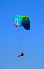 Paraglider flying above the trees in the Vosges mountains