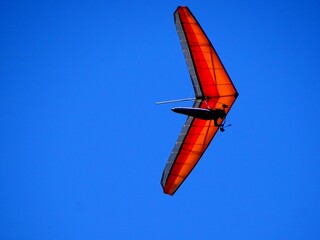 Hang glider flying above the trees in the Vosges mountains