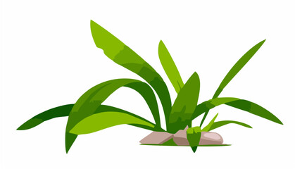 Grass with Stones Isolated