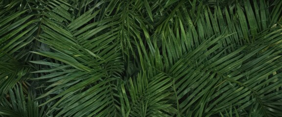 Vibrant green palm leaf texture, intricate detail ,  vegetation,  green background