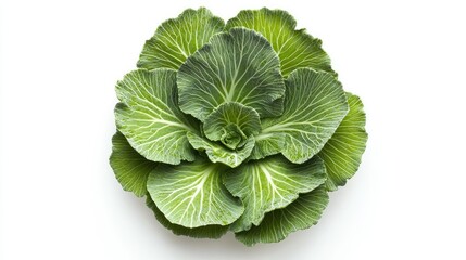 Single broccoli head viewed from above, vivid green and clean isolation on white