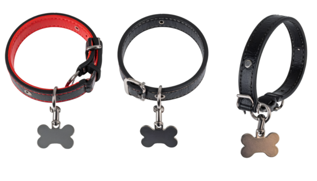 Set of three dog collars with bone shaped tags hanging, isolated on transparent background