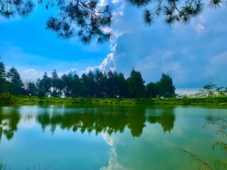 Obraz premium Tranquil Forest Lake with Pine Trees Reflected in Calm Water under Blue Sky