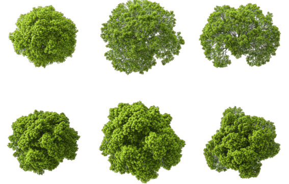 A collection of six lush green tree bushes displayed in a grid format. showcasing various shapes and sizes. ideal for use in landscaping projects or digital design backgrounds