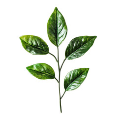 Fototapeta premium Lush green foliage against stark darkness showcasing organic vitality and simplicity