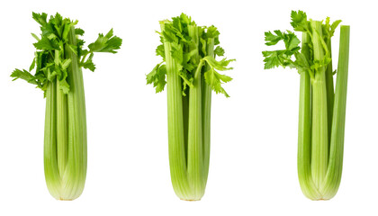 Three Fresh Celery Stalks Isolated on Transparent Background