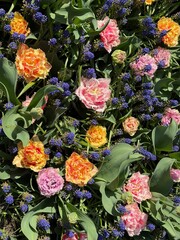 bouquet of colorful flowers