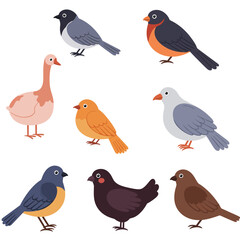 Cartoon Birds Goose Robin Bluebird and Blackbird with Simple Stylized Design