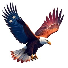 Eagle with red blue black wings in hunting motion high resolution picture