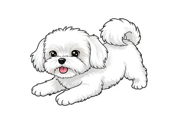 Adorable Maltese Puppy Peeking with Playful Pink Tongue and Big Eyes