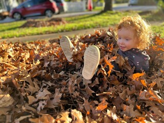 little girl playing with autumn leaves