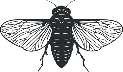 Detailed black silhouette vector illustration of a cicada insect with spread wings showing wing veins © vadymstock