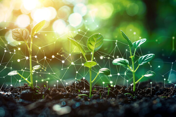 Innovative Young Sprout Agricultural Technologies Utilizing Scientific Research on Organic Digital Background with Ample Copy Space for Creativity Growth  
