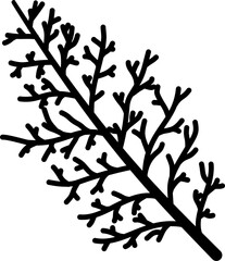 Fir leaf silhouette vector