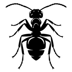Black Silhouette of an Ant Isolated on White Background
