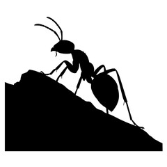 Black Silhouette of an Ant Isolated on White Background