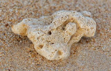 A small white rock is laying on the sand