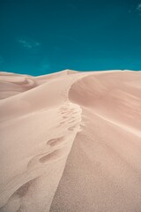 sand dunes in the sahara desert