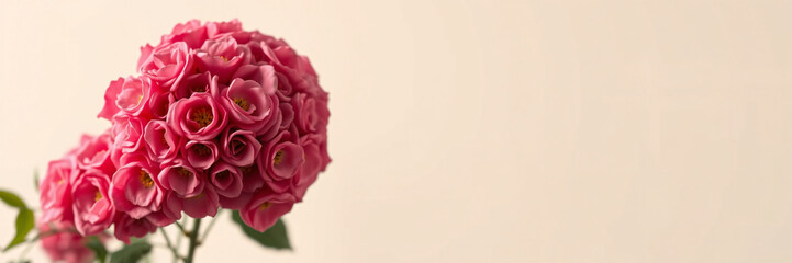 Compact Pink Rose Cluster in Spherical Form
