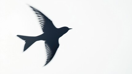 Fototapeta premium A birdâ€™s shadow forming an airplane, white background