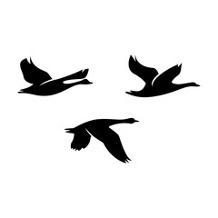 simple bird fly silhouette set