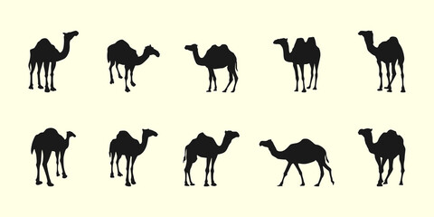 Camel Sacrificial Animal Silhouette