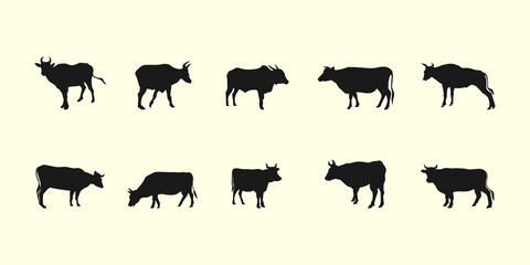 Obraz premium Cow Sacrificial Animal Silhouette