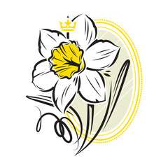 Daffodil flower with golden crown and mirror