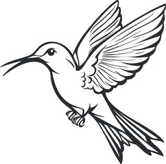 Fototapeta premium Black and white line art illustration of a hummingbird in flight with detailed wings and beak