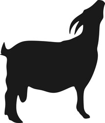 Goat Sacrificial Animal Silhouette