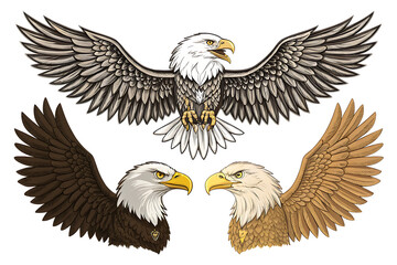 Obraz premium Stylized Eagle Illustration Set – Dynamic Poses, Feather Detail, and Artistic Wildlife Design