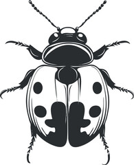 Black and white vector illustration of a ladybug beetle with detailed antennae and spotted wings