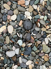 Close-up photo of multicolored wet pebbles and stones of various shapes and sizes collected on a beach, showing natural texture and variation.