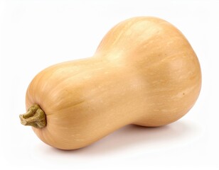 Butternut Squash Isolated On White Background
