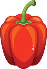 Bell Pepper Vector 