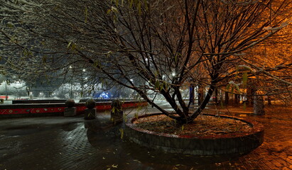 Novokuznetsk, Russia. November 01, 2024. A picturesque view of the trees of the city park covered...