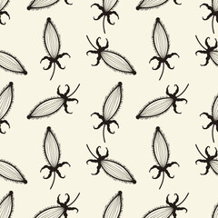 Thistle Carduus pattern, stylized doodle drawing, botanical background with seed pods.
