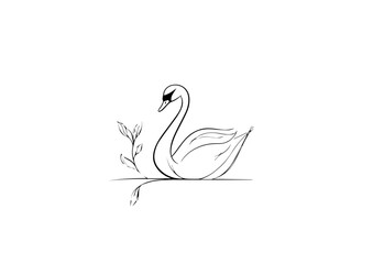 Fototapeta premium Swan illustration in elegant black line art with plant on white background