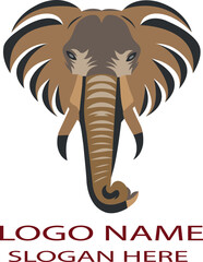 Elephant head logo icon vector .
